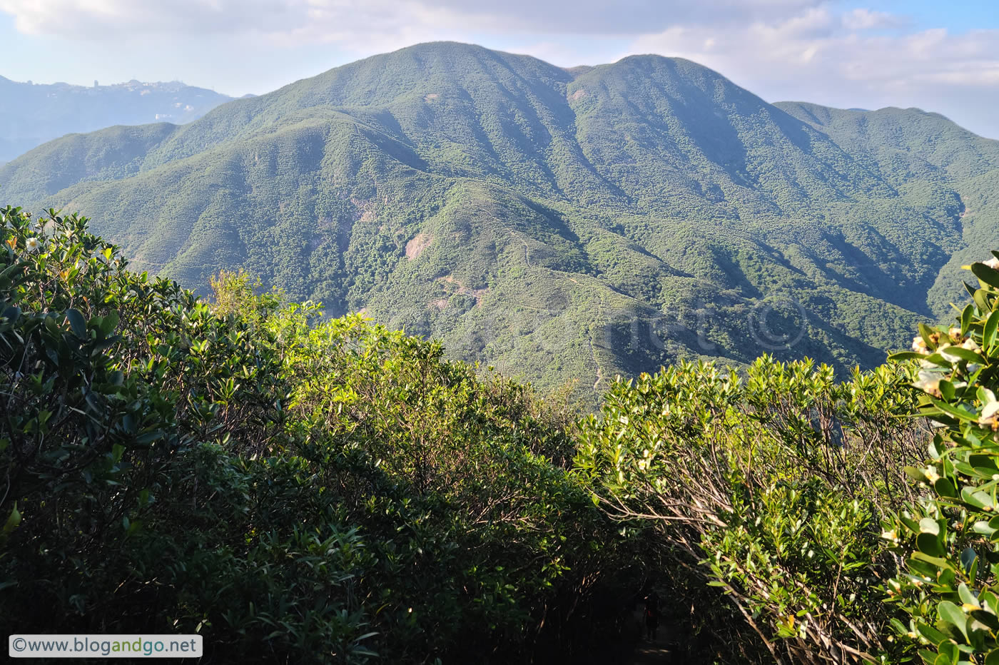 Wong Nai Chung to Stanley - Pause to Look Back at Violet Hill